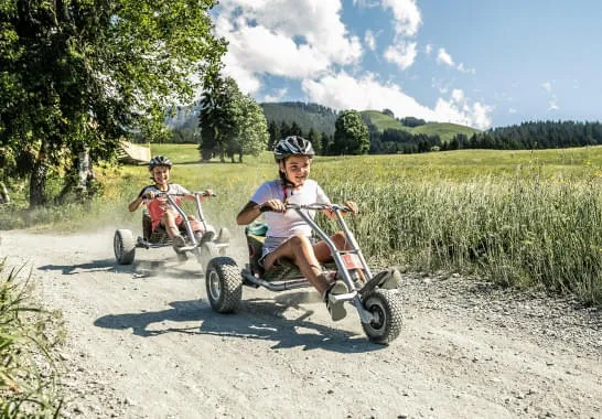 Mountain-Cart Mountain-Cart